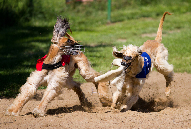 chrti 610 413 chrti 610 413